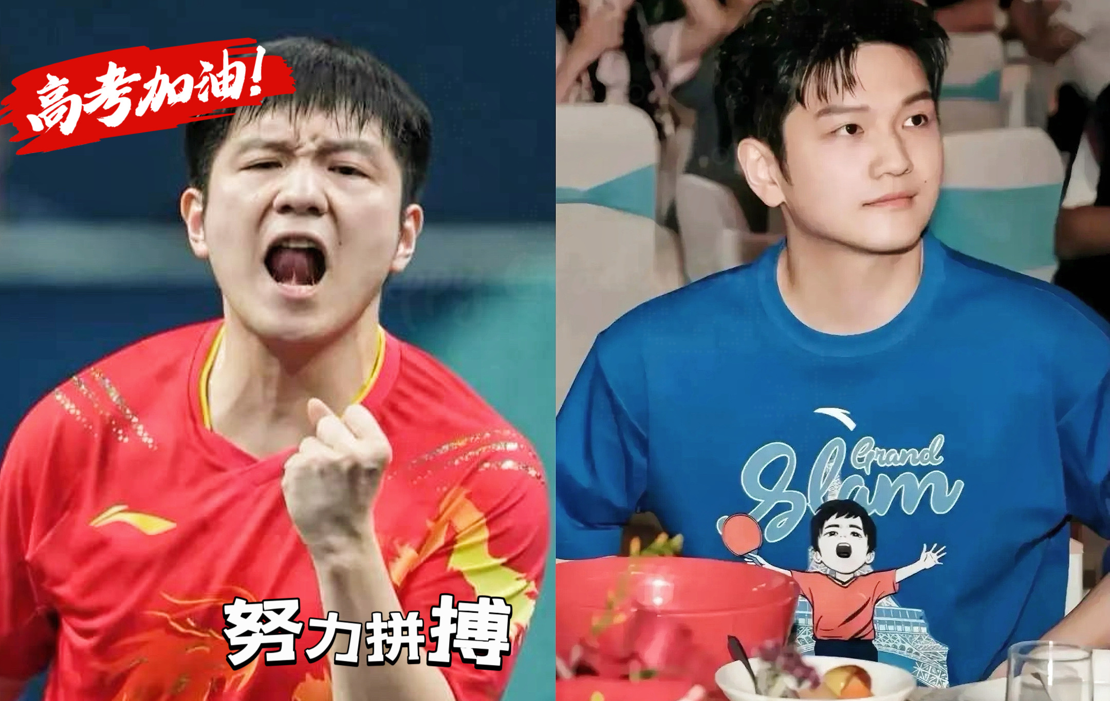 中国乒乓球队碾压波兰乒乓球队,樊振东完成帽子戏法的简单介绍 中国乒乓球队碾压波兰乒乓球队,樊振东完成帽子戏法的简单介绍