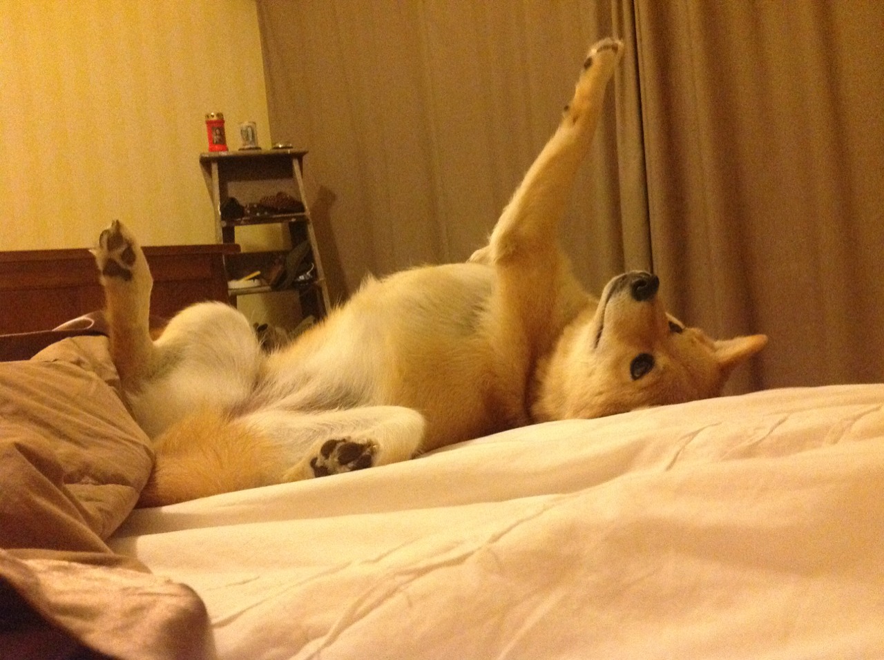 一剑封喉！高诗岩弧顶冷箭定乾坤，火箭终克马刺取关键一胜