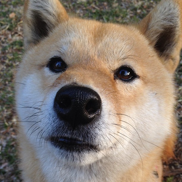 定义这个夜晚的唯一,文班亚马的巨星闪耀与辽宁队的铁血洪流