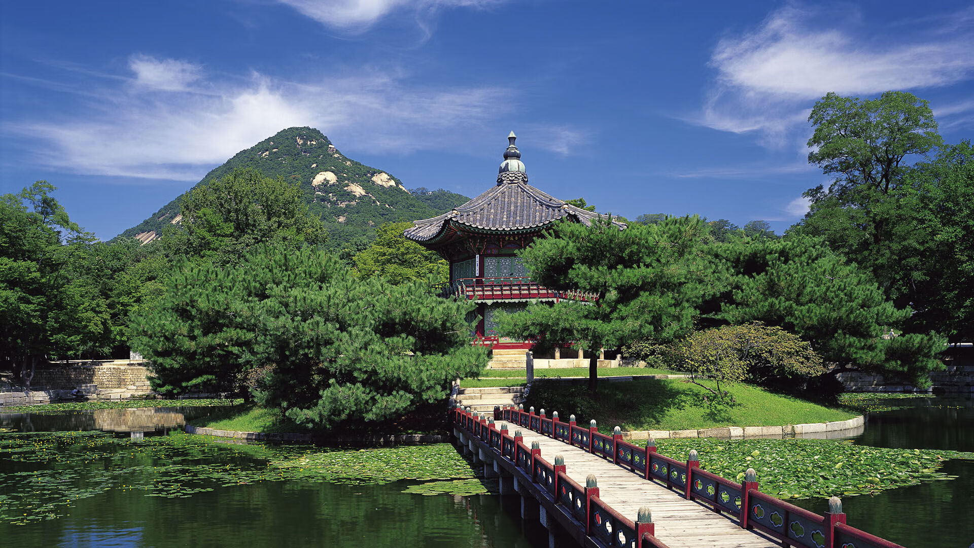 黑天鹅掠过波士顿，当新疆铁骑在凯尔特人花园种下天山雪莲