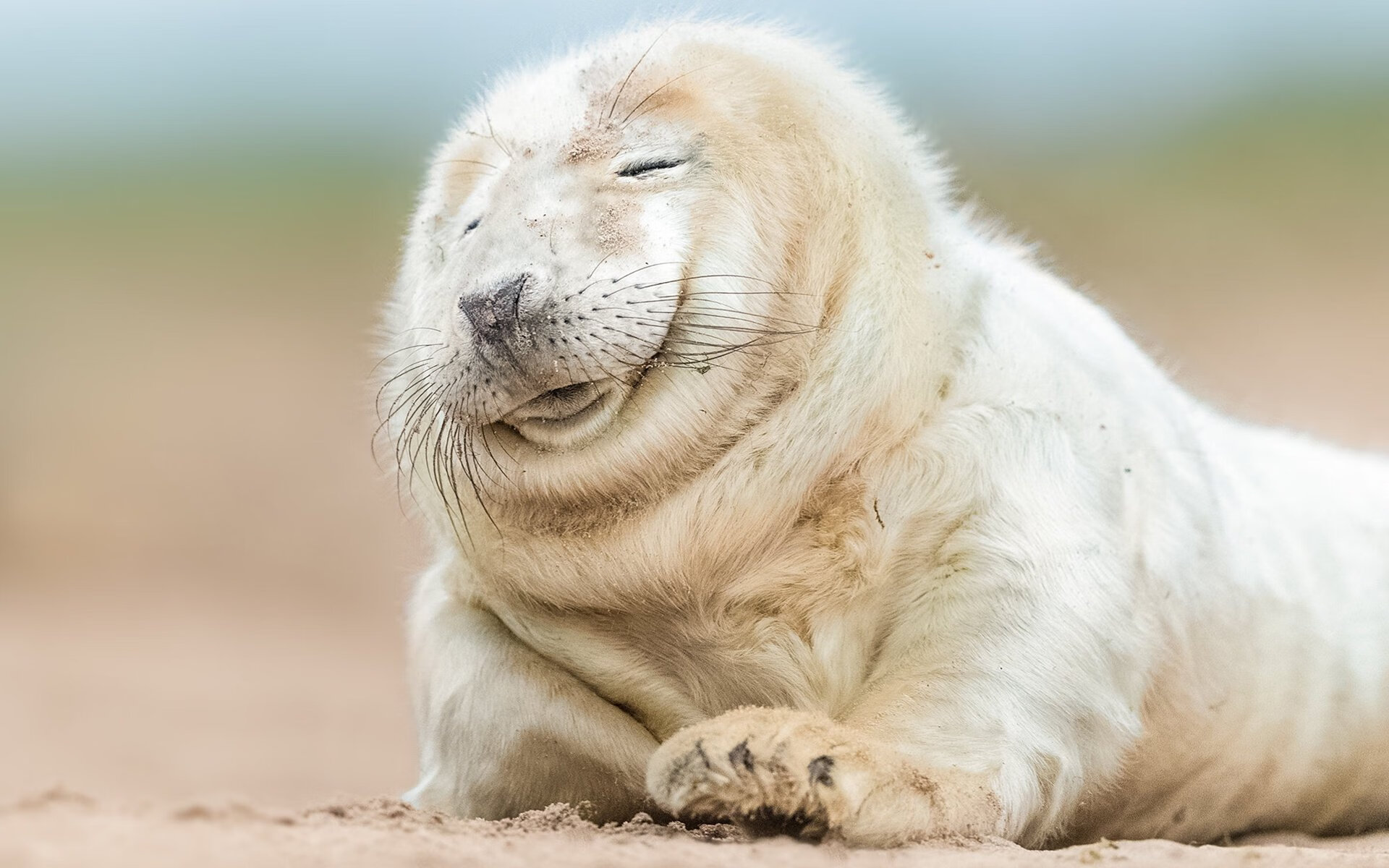 战术完胜！克罗地亚的冷静刀锋，如何让雷恩的青春风暴黯然熄火