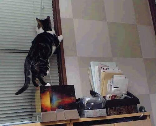 莫德里奇完美发挥，塞维利亚力克利物浦