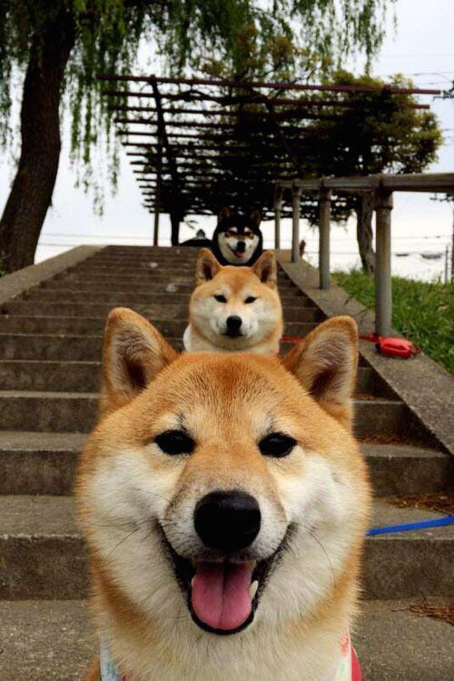 凌晨四点的火焰，当巴林赛道遇见伊蒂哈德奇迹