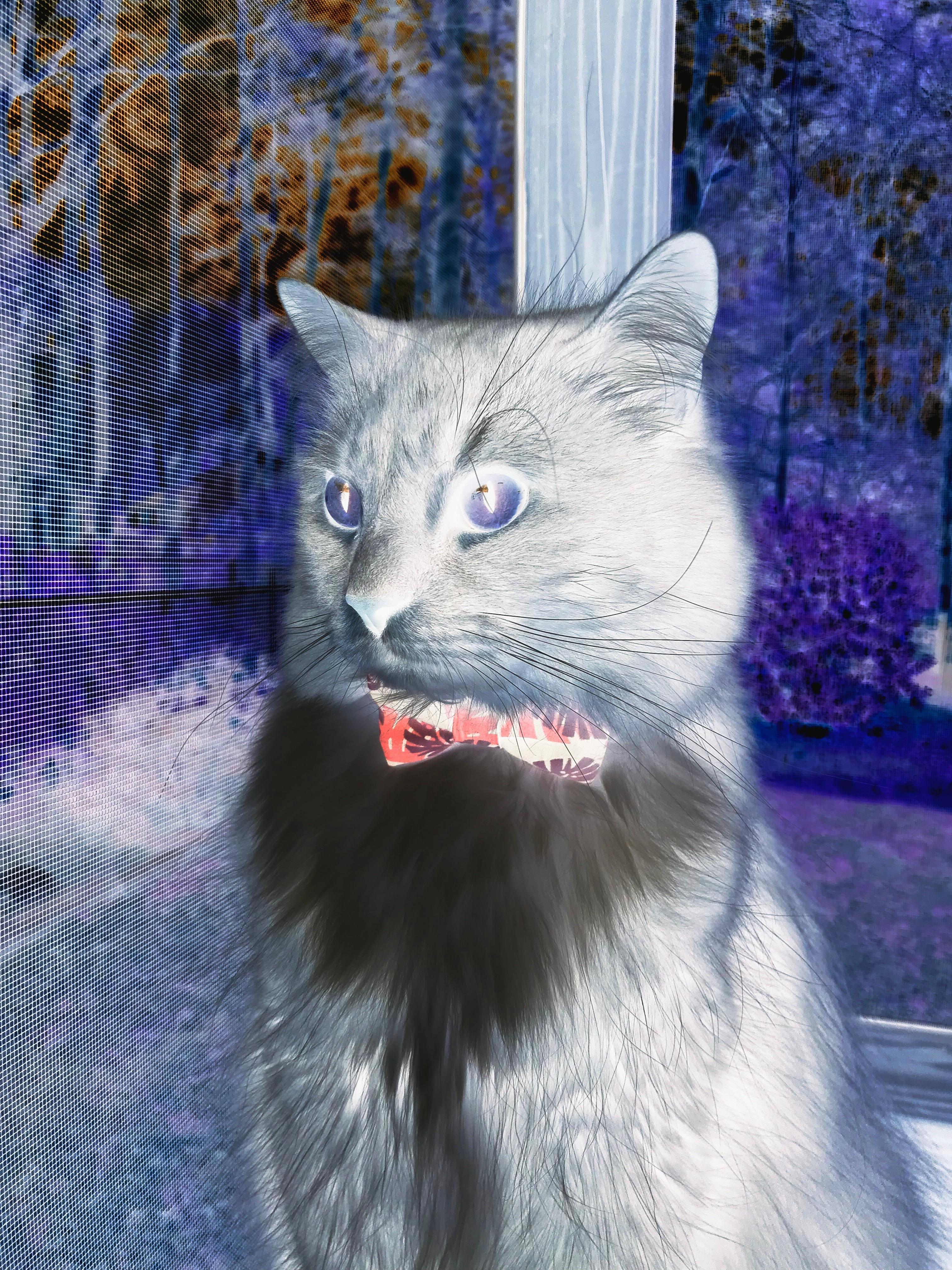 加克波抢七时刻主宰赛场，马德里竞技力克比利亚雷亚尔晋级关键战