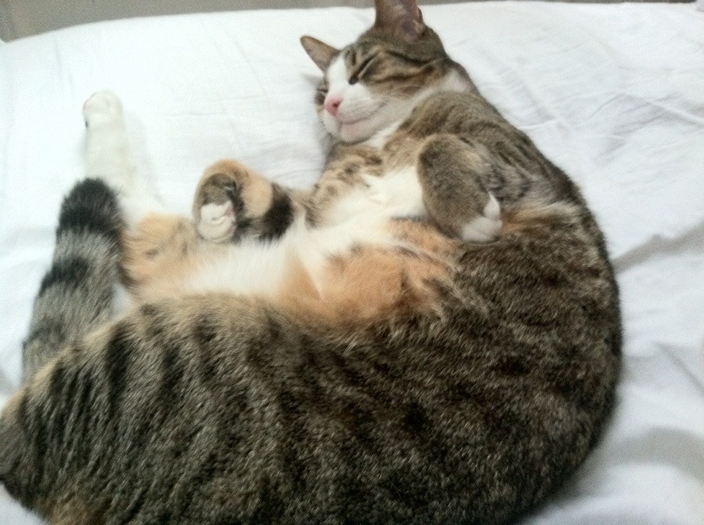 无界之舞,当利物浦的信仰遇见伊朗的钢铁,见证内马尔的舞台哲学