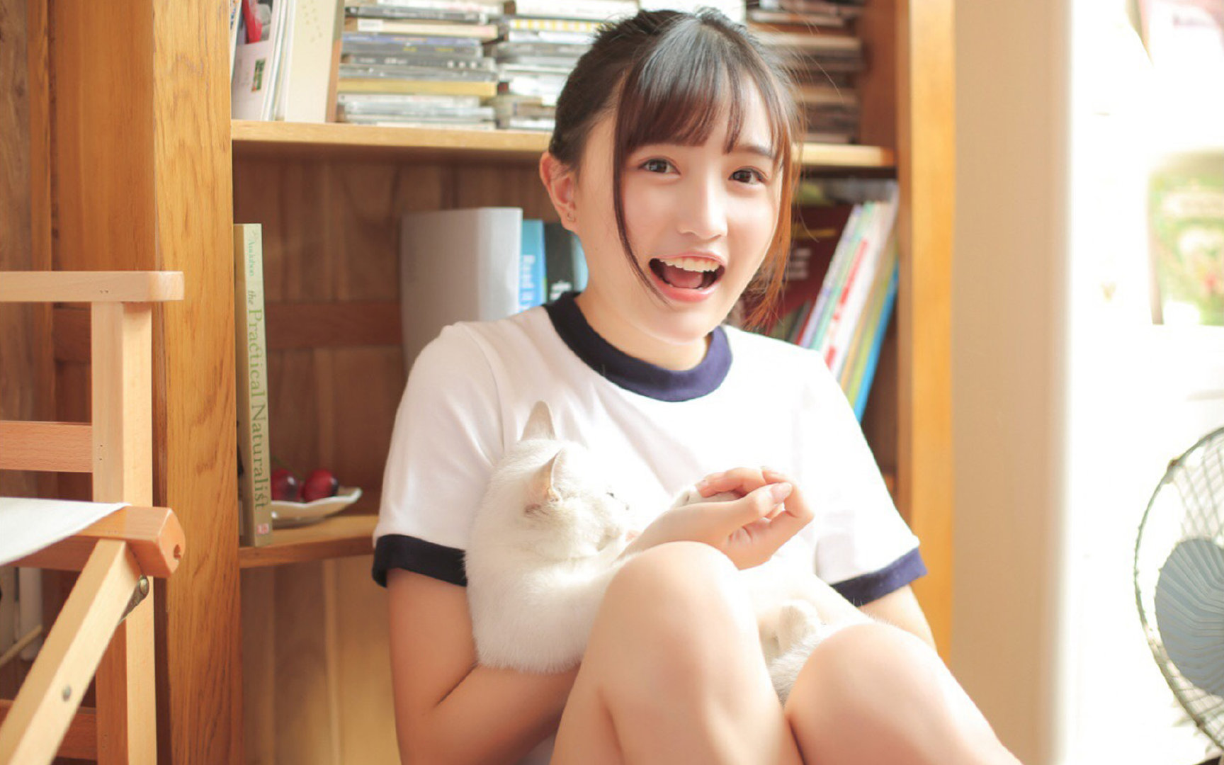 时空错位的对决，当爱尔兰传奇碾压阿森纳