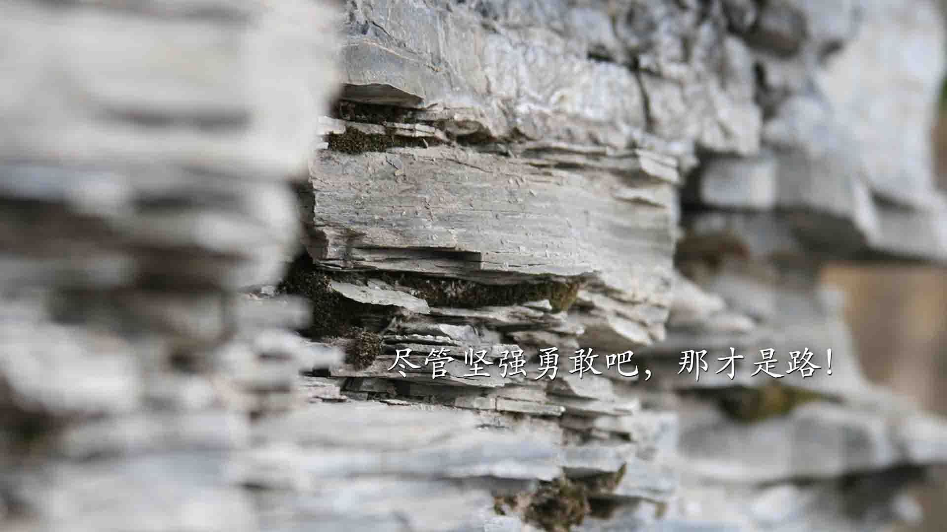 冷冽的北境之光，2026世界杯F组，冰岛替补奇兵一剑封喉，努涅斯闪耀全场力克比利时