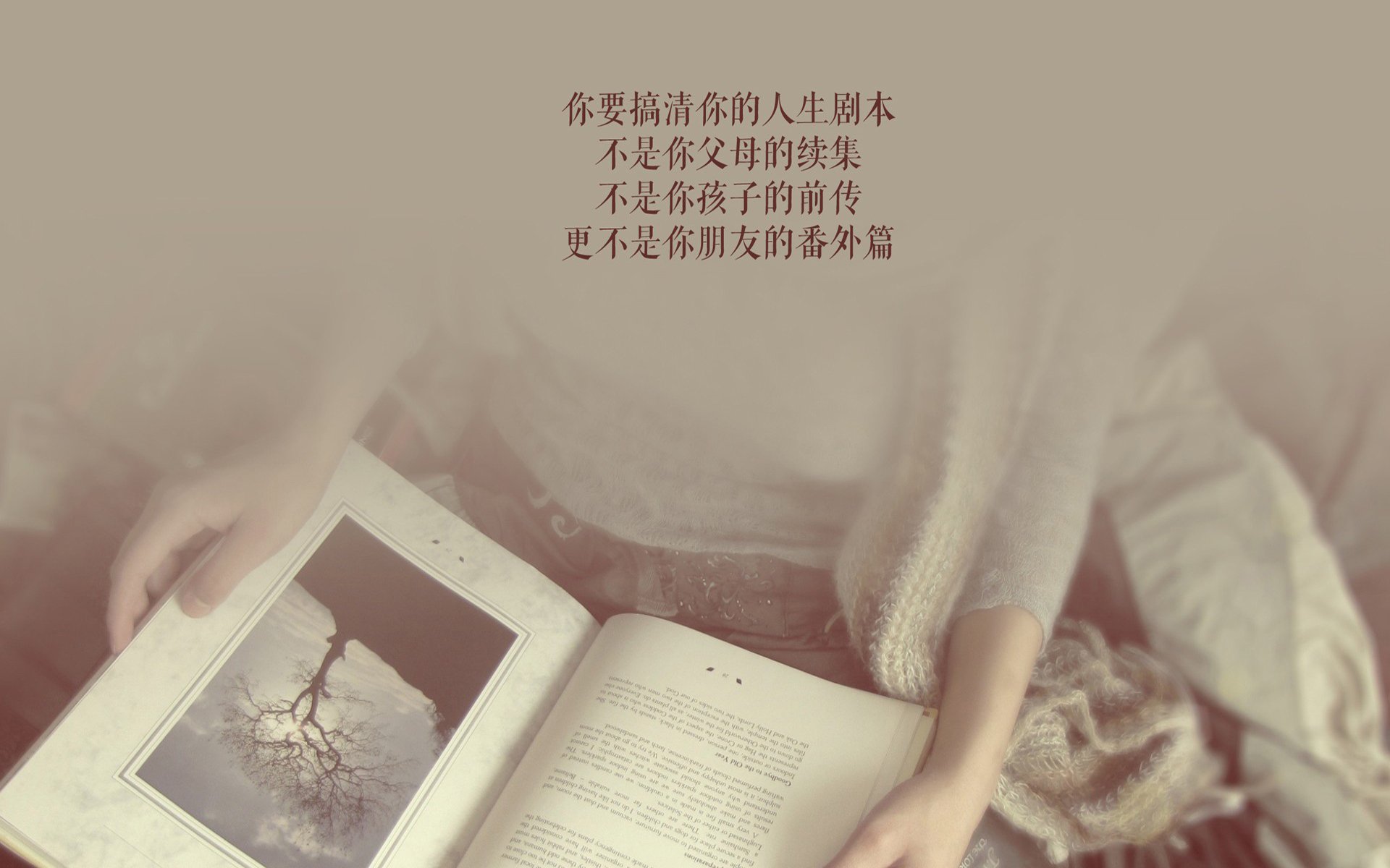 孤城与冰原,2026,库尔图瓦在北境的最后一道光