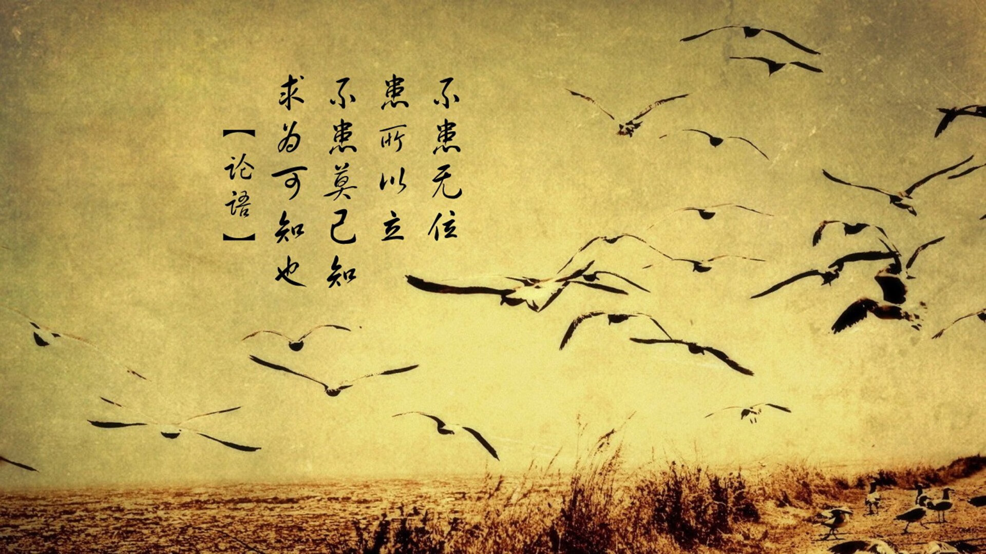 宿命的轮回，2026世界杯C组，德国战车与日本武士的巅峰对决，登贝莱—那个改写剧本的局外人