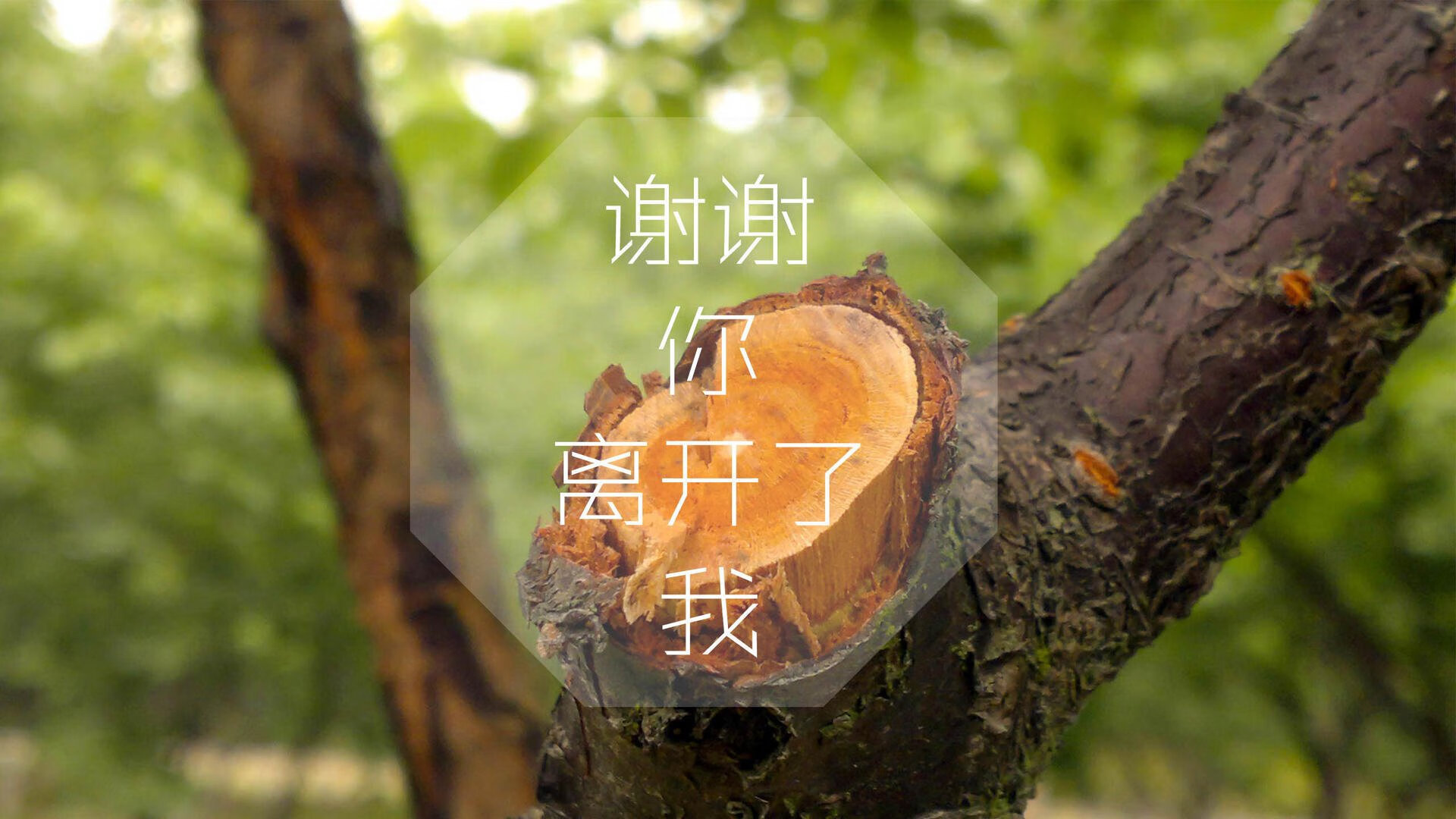 最后一秒的救赎，2026世界杯C组，萨内撕裂日本防线，德国绝杀重演卡塔尔之殇