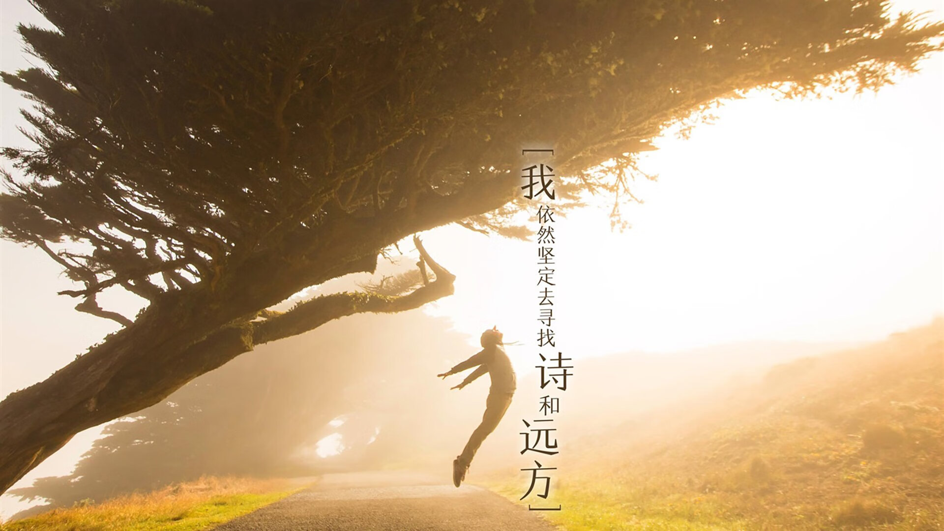 宿命的回响,2026世界杯C组之夜,莫德里奇用一道弧线为德国写下异乡的绝唱